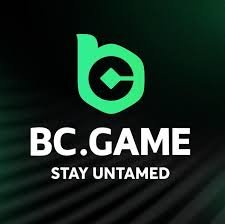 Exploring BC.Game Platform A Comprehensive Guide