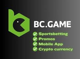 The Rise of Crypto Casinos A Focus on BC Game